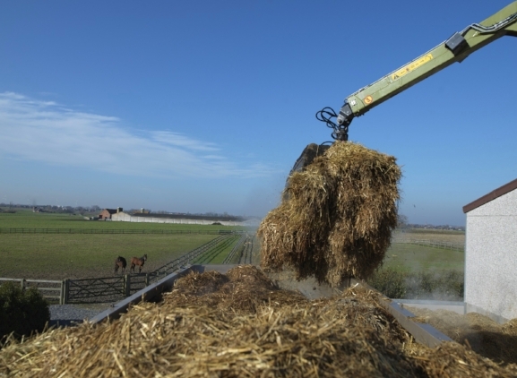 Ophalen mest paarden